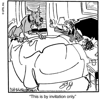 marmaduke